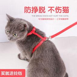 成人猫咪用品大全视频,成人猫咪用品大全揭秘
