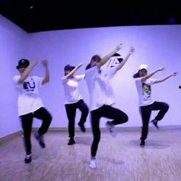 教学成人舞蹈视频大全,成人舞蹈视频大全精选解析