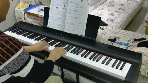 成人自学钢琴视频免费
