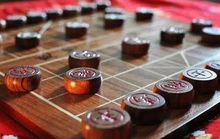 成人象棋围棋教程视频讲解,视频教程精华解析