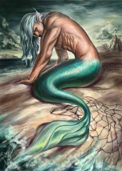 美男变成人鱼视频大全,美男变人鱼视频大盘点