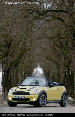 成人红色汽车视频播放