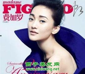 成人蓬松扎发教程视频,打造时尚发型新潮流