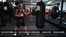 成人拳击球视频教学下载,掌握技巧，提升自我